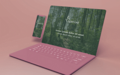 Co to są Stocki i jak z nich korzystać?